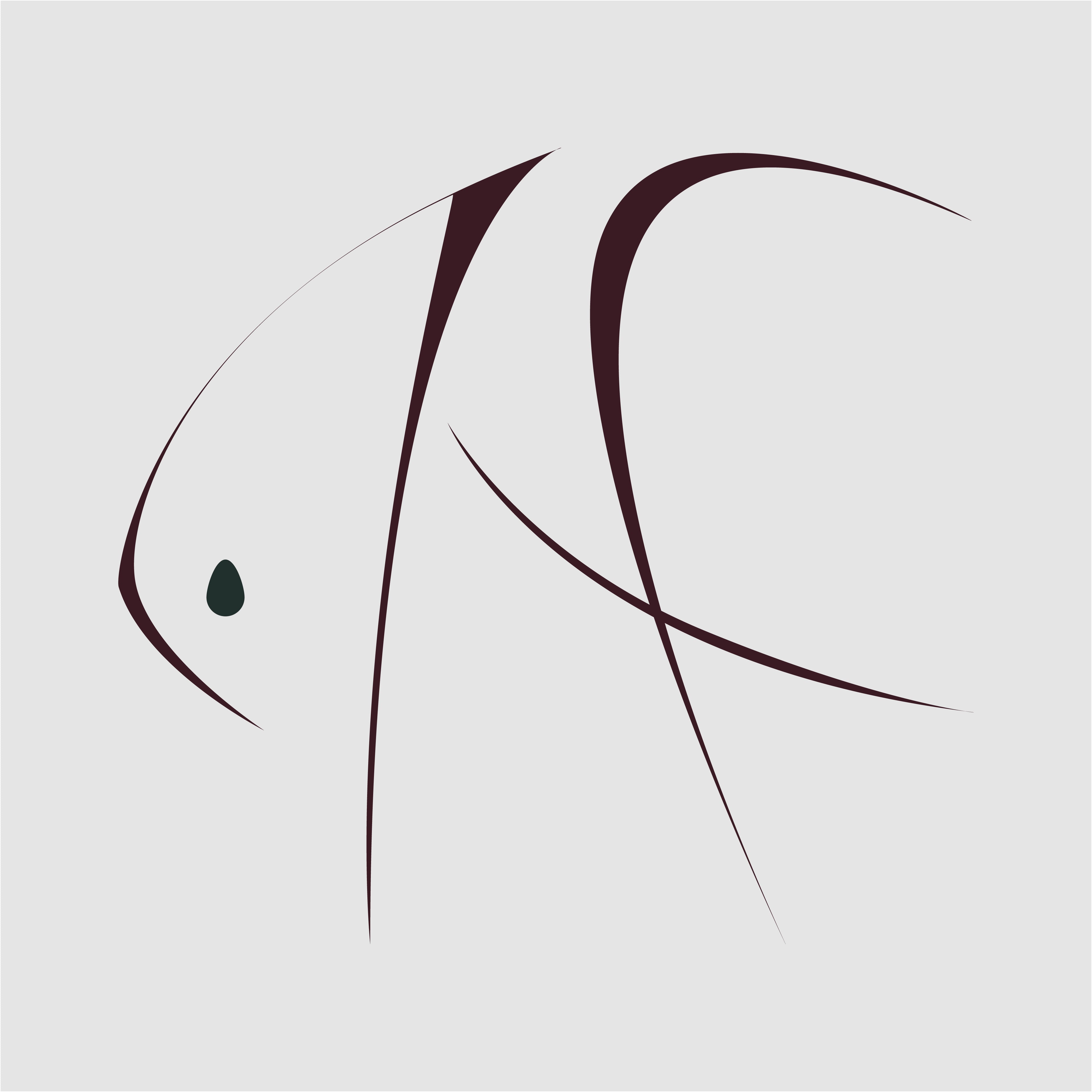 Inge Frances Designs